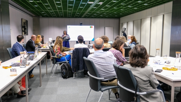 Desenvolvimento sustentável: coerência política e competências-chave