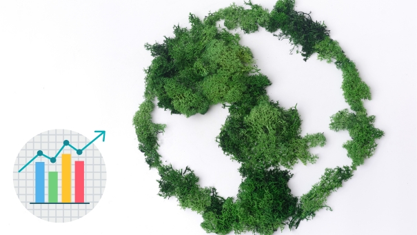 INE divulga publicação sobre progresso dos ODS em Portugal