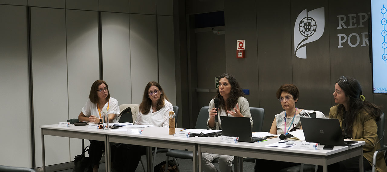 Workshop sobre Painel de Metas Estratégicas e Metas para a Sustentabilidade
